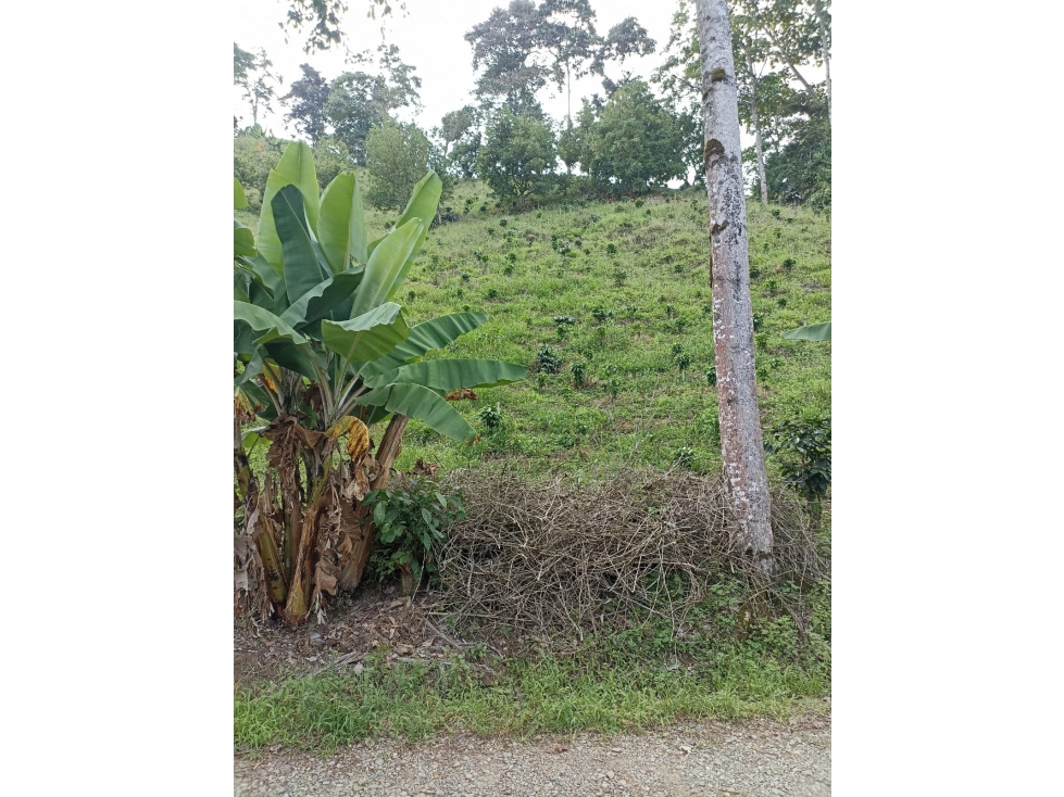 Se Vende Lote Cordoba Quindío - 5