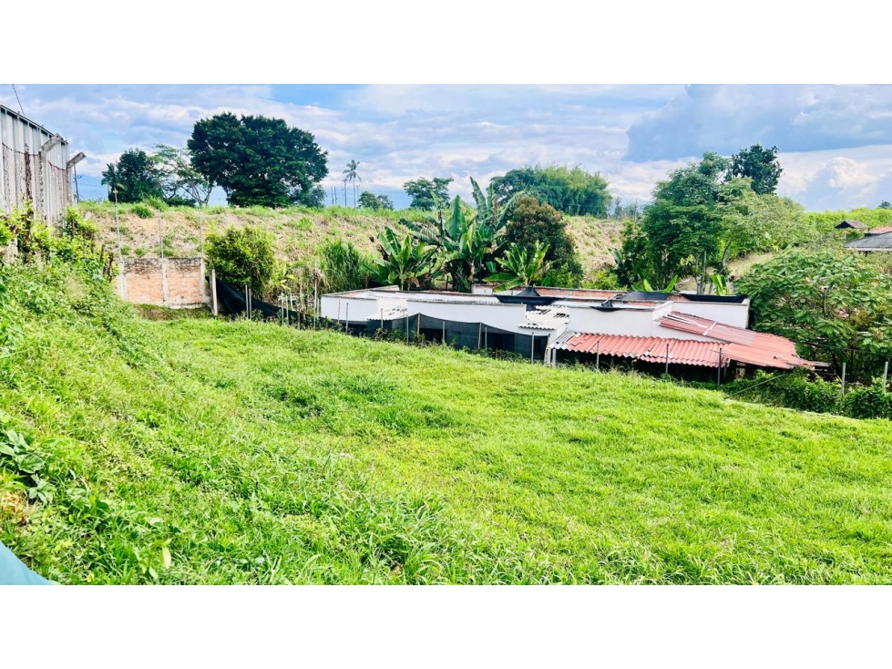 Se vende Lote La Tebaida - Quindío - 5