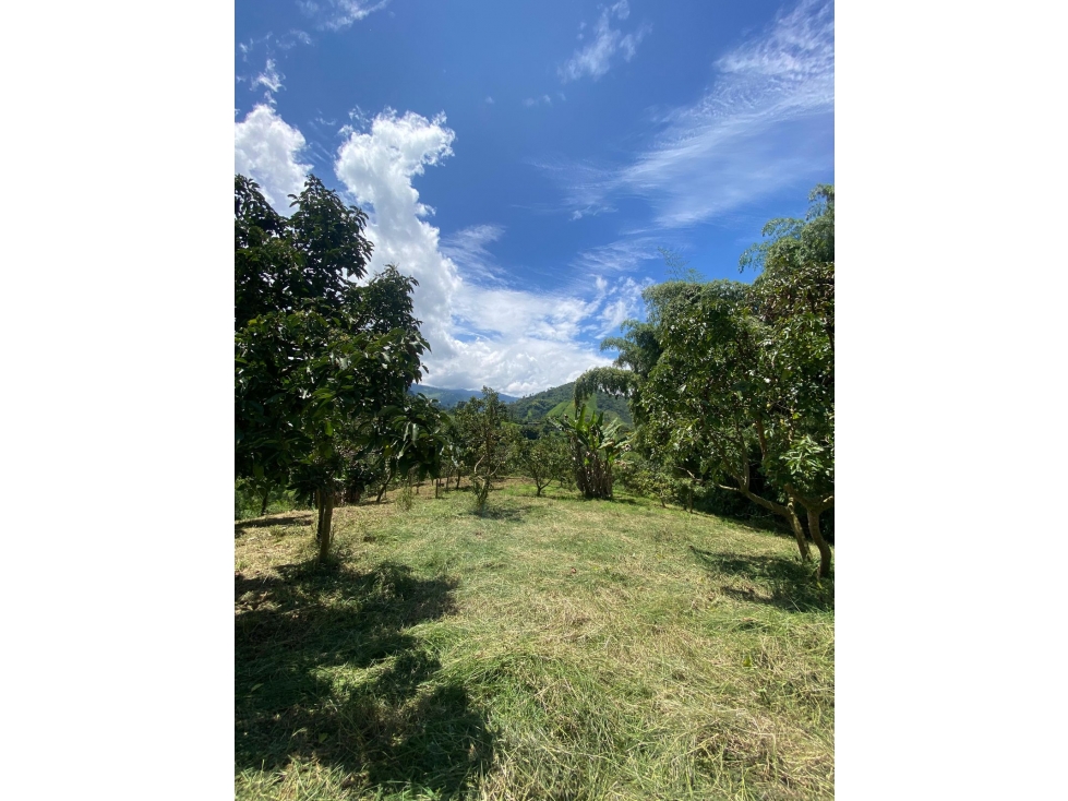 Se Venden Lotes En Santa Rosa De Cabal - Risaralda - 5