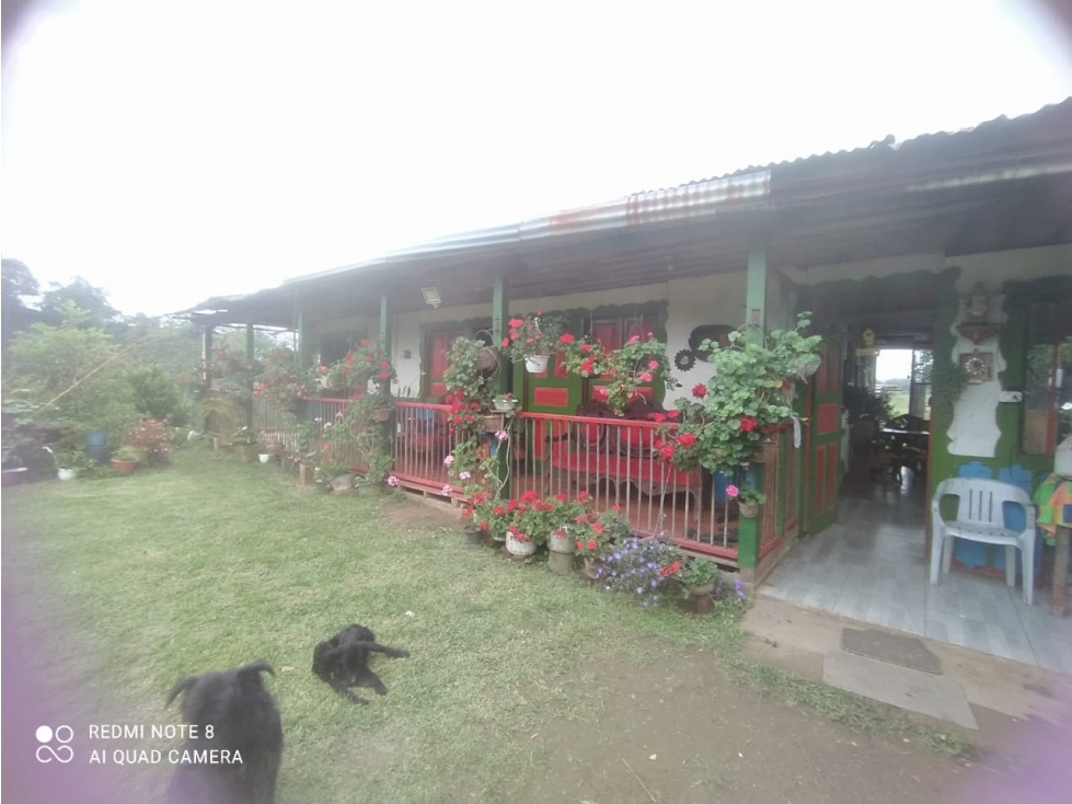Se Vende Finca En Circasia - Quindío — foto 3