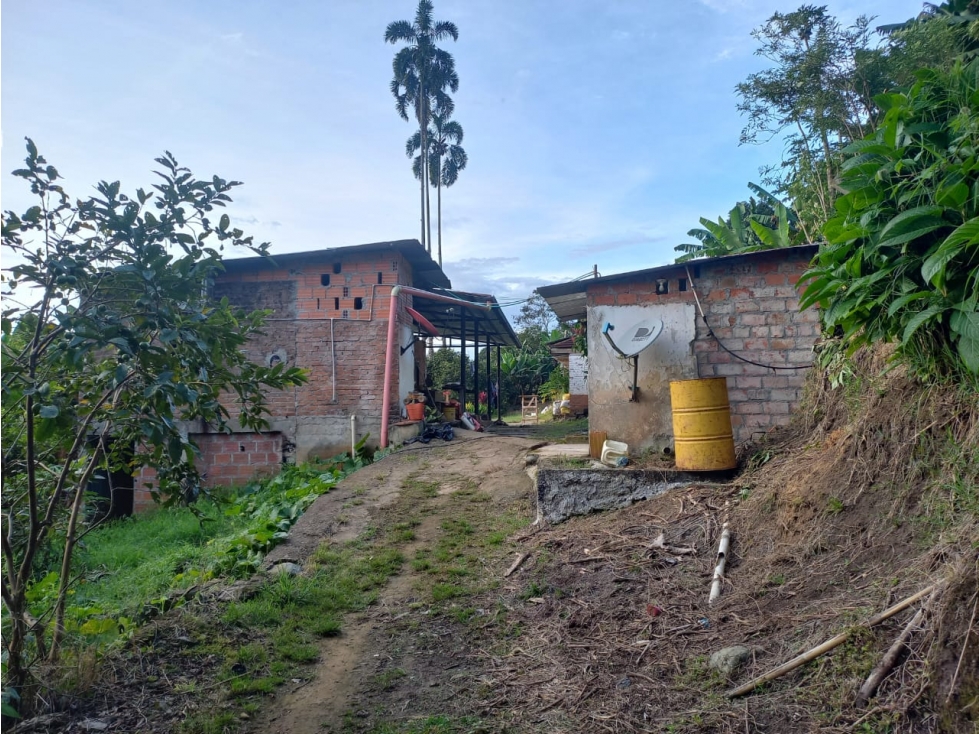 Se Vende Finca En Genova Quindío - 6