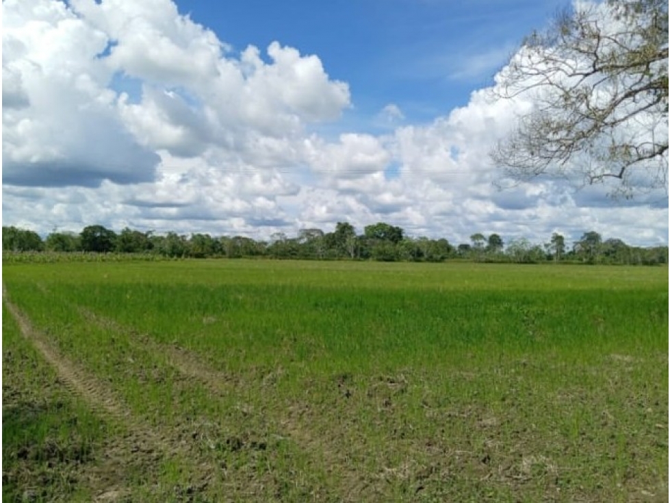 Se Vende Finca En Fuente de oro - Meta - 1
