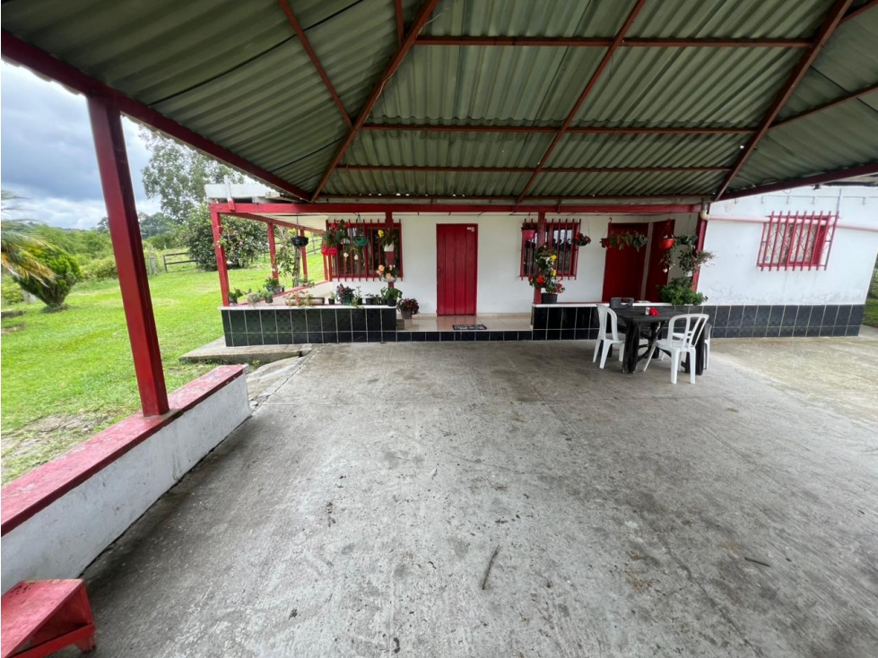 Se Vende Finca en Circasia - Quindío. — foto 2
