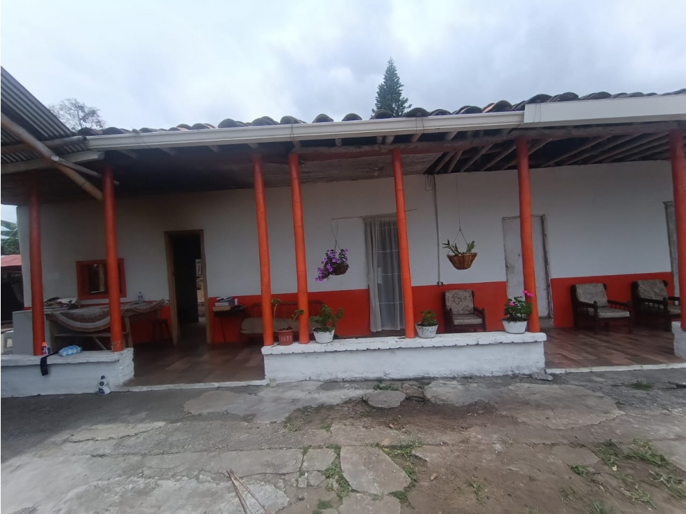 Se Vende Finca en Quimbaya - Quindío - 6