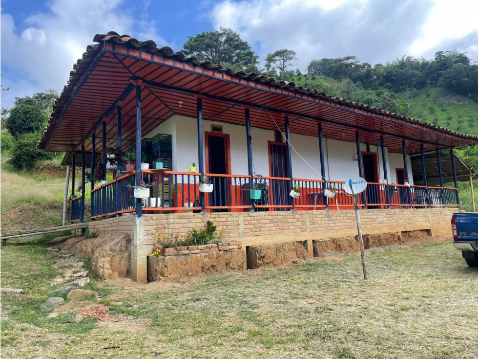 Se Vende Finca En Sevilla - Valle Del Cauca - 1