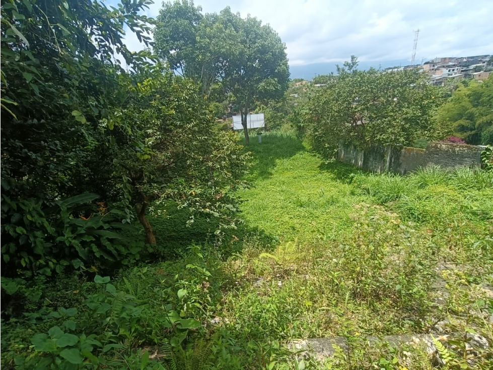 Se Vende Lote S. Centro - Norte De Armenia