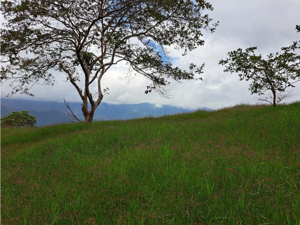 Se Vende Finca en Génova - Quindío - 2