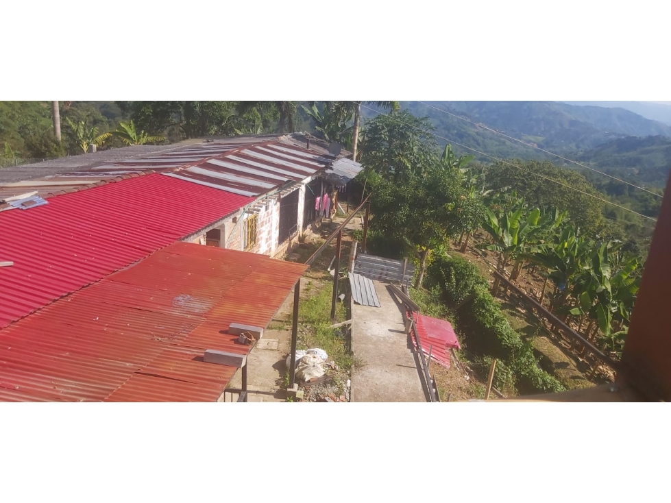 Se Vende Finca En Cordoba - Quindío - 5