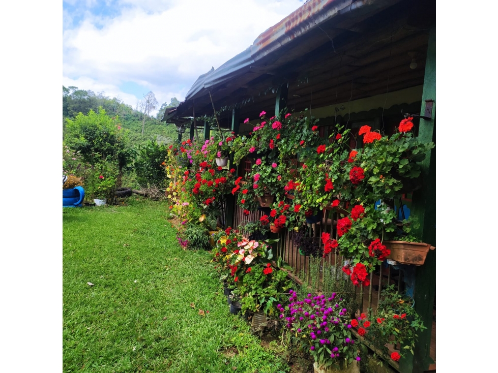 Se Vende Finca En Circasia - Quindío — foto 2