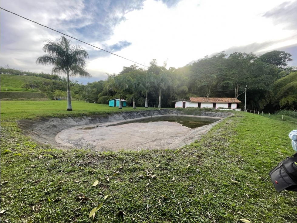 Se Vende Finca En Ulloa - Valle Del Cauca - 3