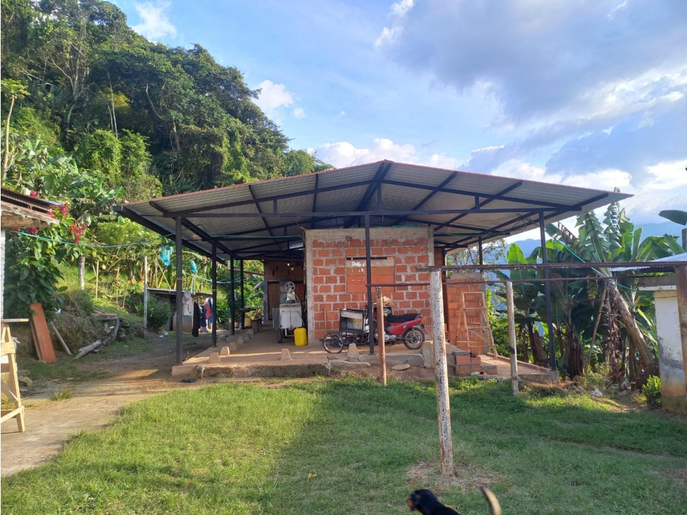 Se Vende Finca En Genova Quindío - 4