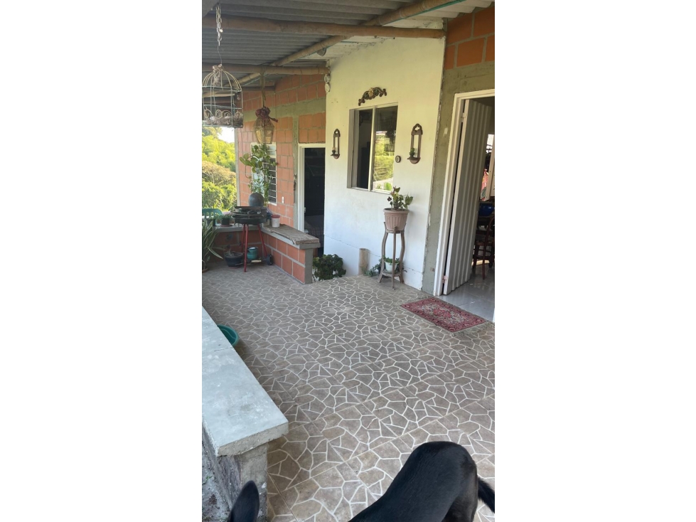 Se Vende Finca Ubicada en Alcala - Valle Del Cauca. - 2