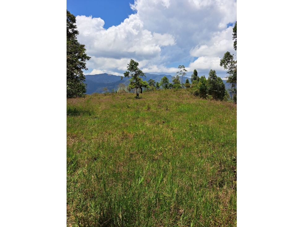 Se Vende Finca en Génova - Quindío - 3