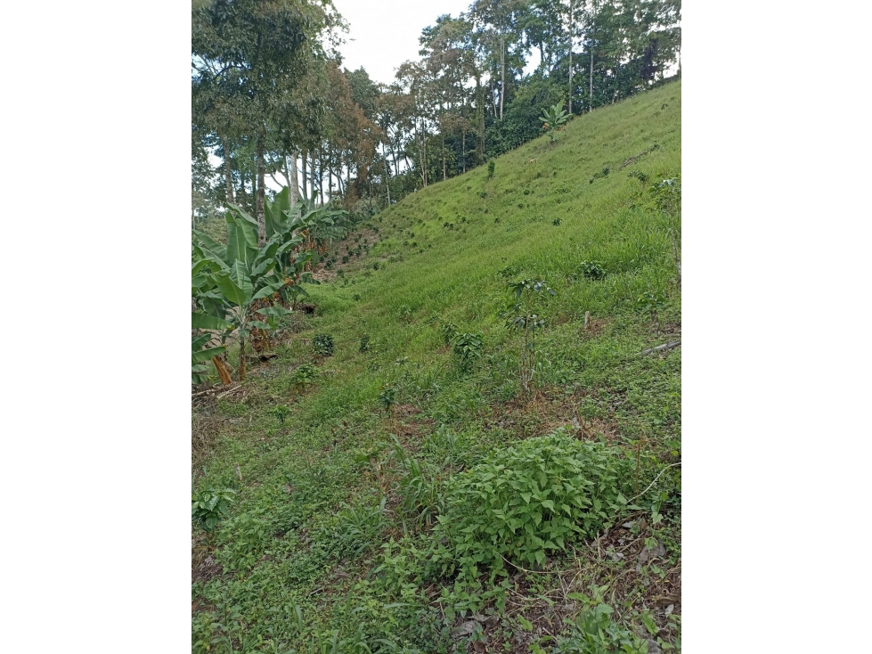 Se Vende Lote Cordoba Quindío - 4