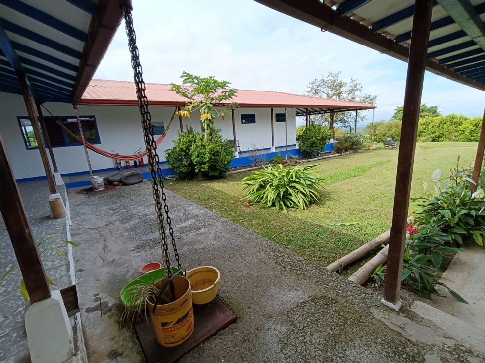 Se Vende Finca En Circasia - Quindío — foto 2