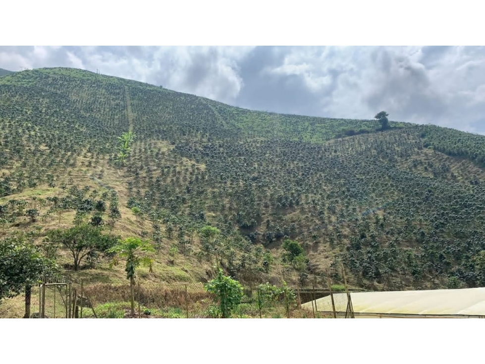 Se Vende Finca En Santa Rosa De Cablal - Risaralda — foto 6