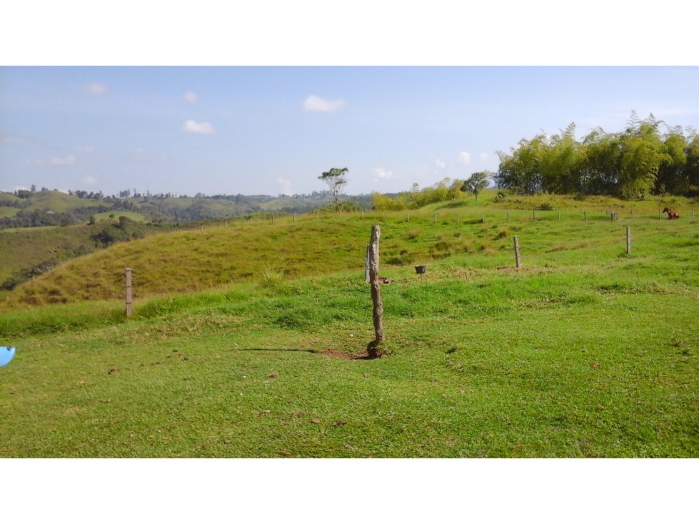 Se vende Finca en El Congal Circasia - Quindío — foto 6