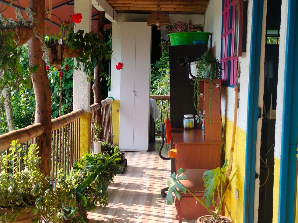 Se Vende Finca En Cordoba - Quindío - 3