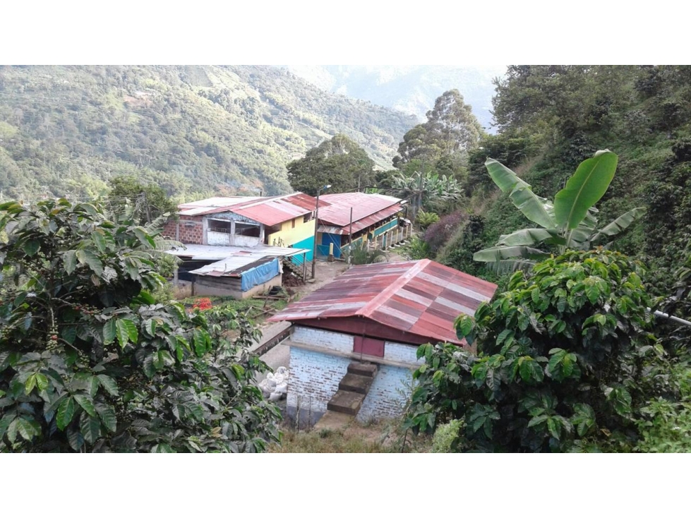 Se Vende Finca En Genova - Quindío