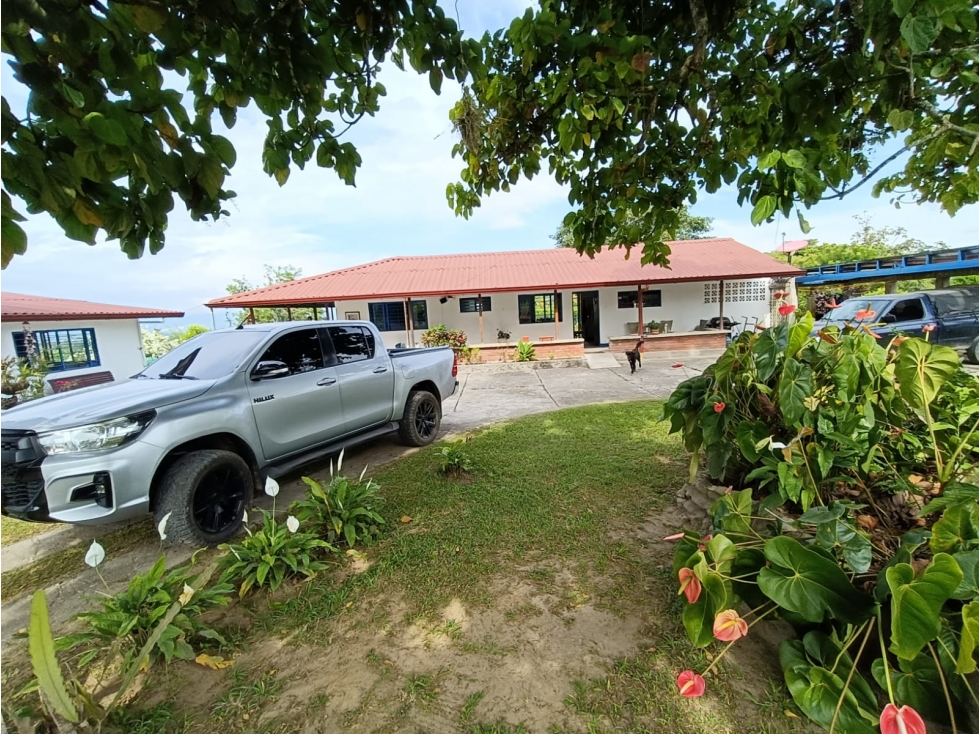 Se Vende Finca En Circasia - Quindío — foto 4