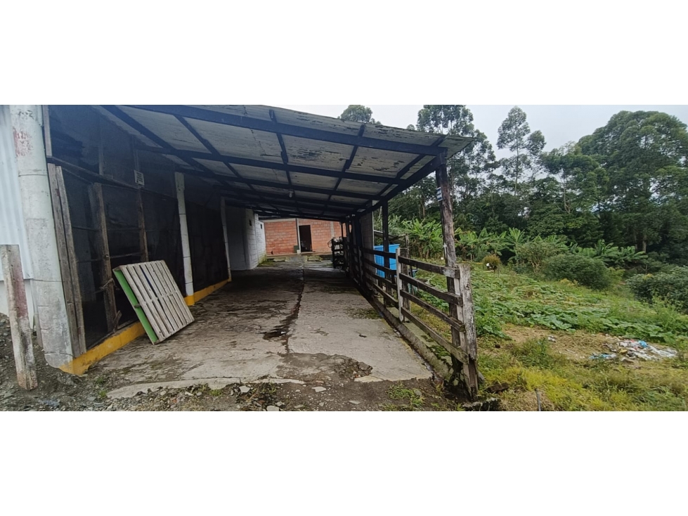 Se Vende Finca En Circasia - Quindío — foto 4