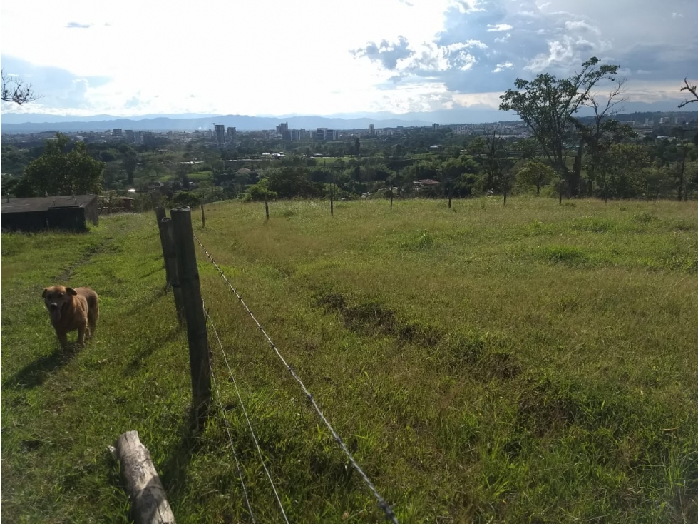 Se vende Finca Calarcá - La Pradera - 3