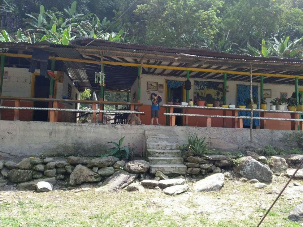 Se vende Finca en Pijao Vda Rio Azul - 2