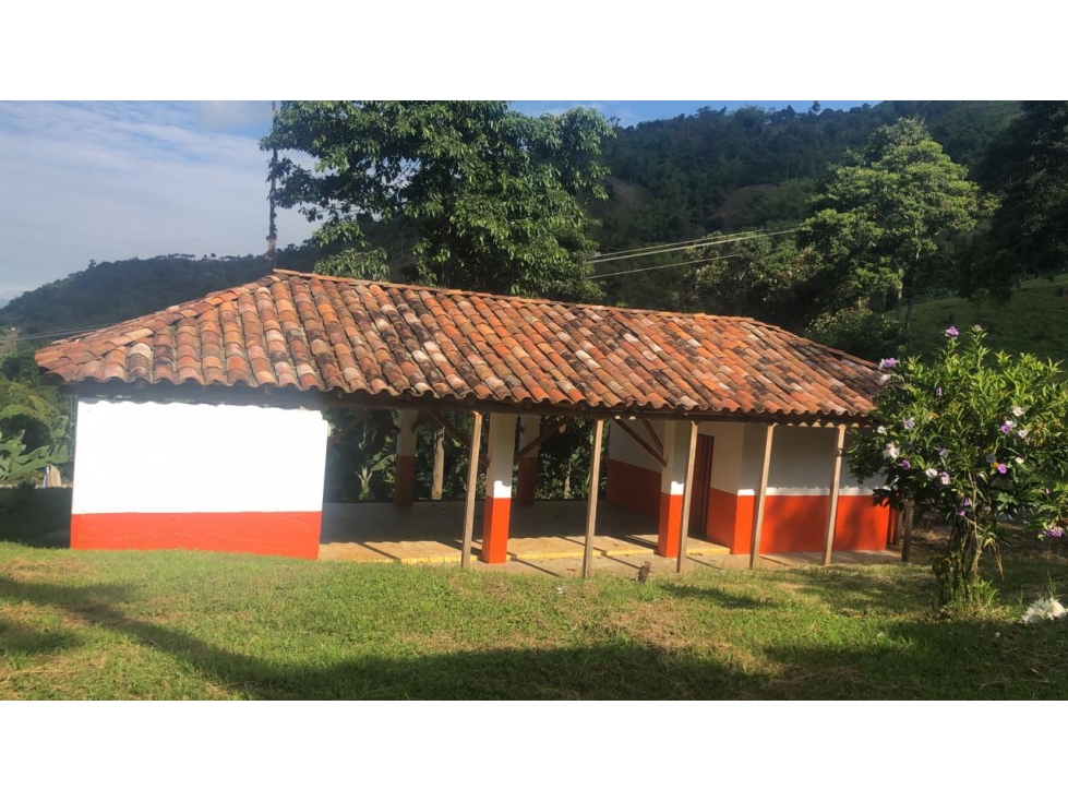Se vende Finca en Pijao Quindío - 2