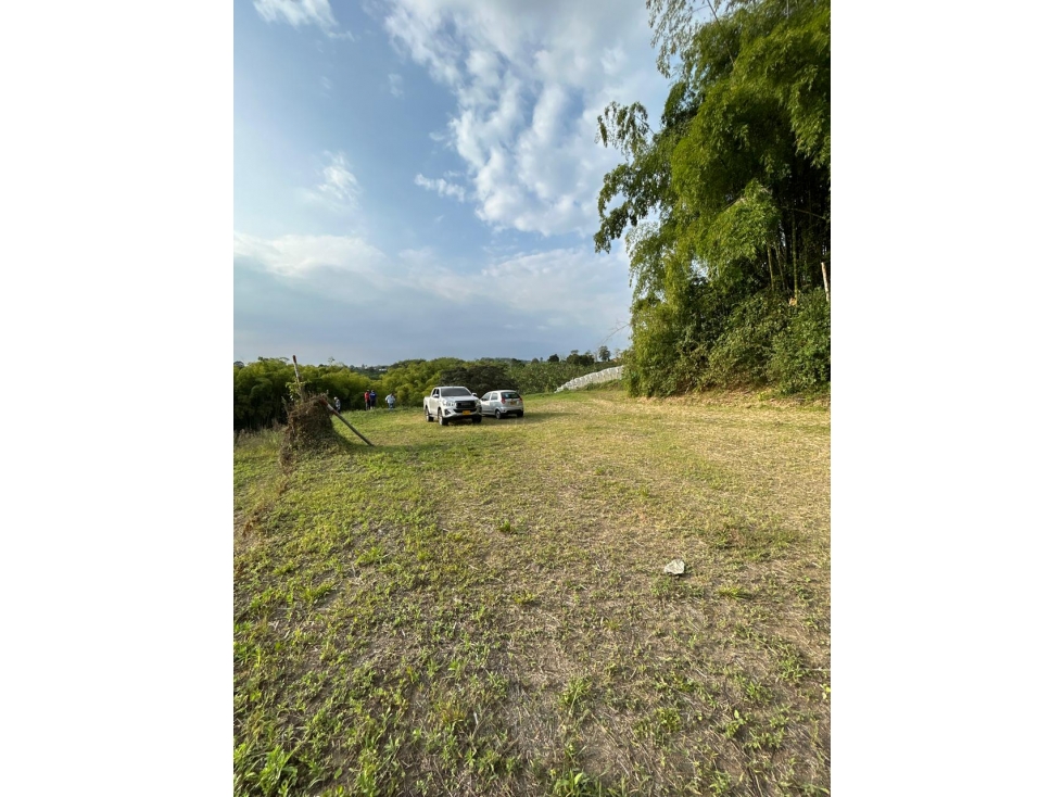Se vende Lote Vda Hojas anchas Armenia - Circasia Quindío — foto 5