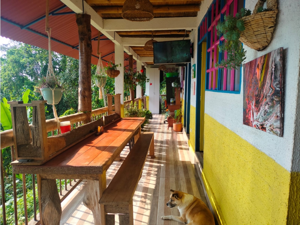 Se Vende Finca En Cordoba - Quindío - 2