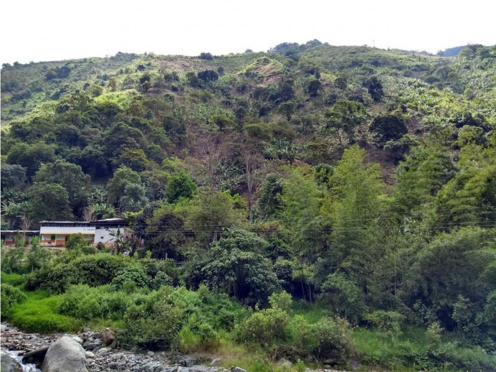 Se vende Finca en Pijao Vda Rio Azul - 6