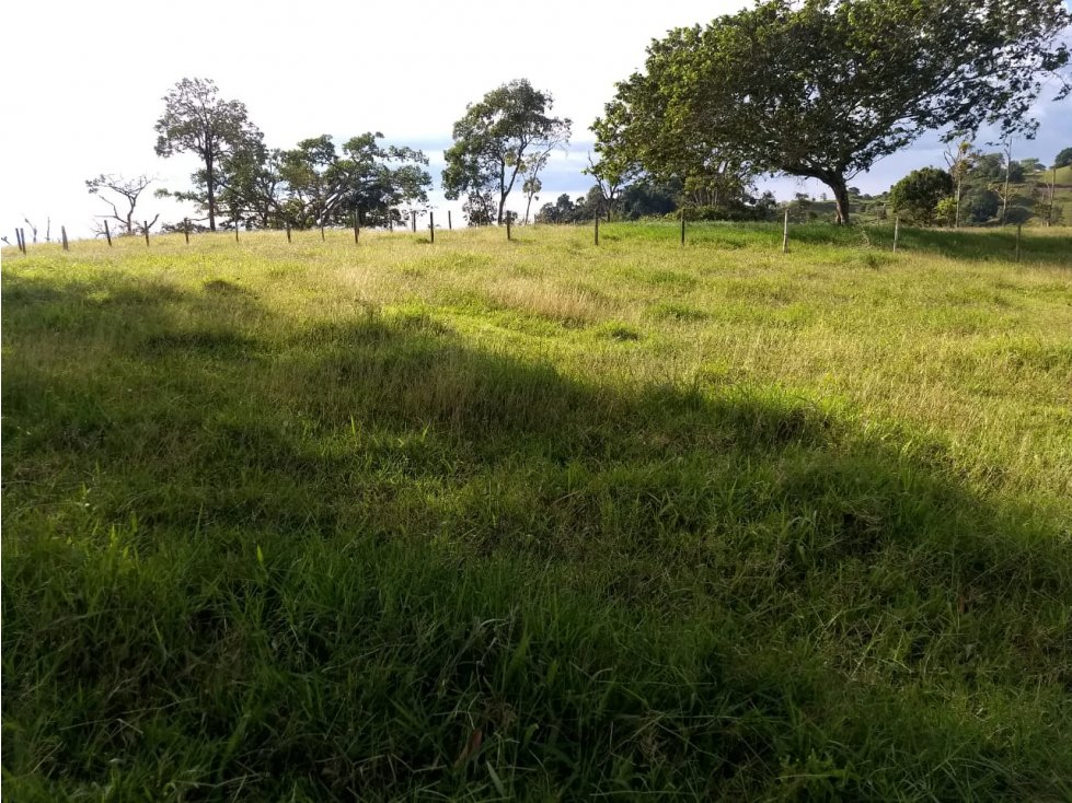 Se vende Finca Calarcá - La Pradera - 6