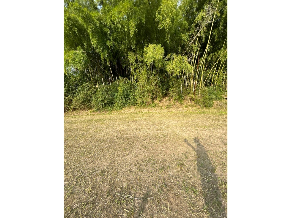 Se vende Lote Vda Hojas anchas Armenia - Circasia Quindío — foto 2