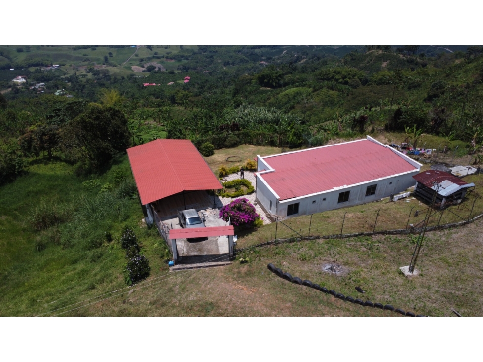 Se Vende Finca En Combia - Risaralda — foto 4