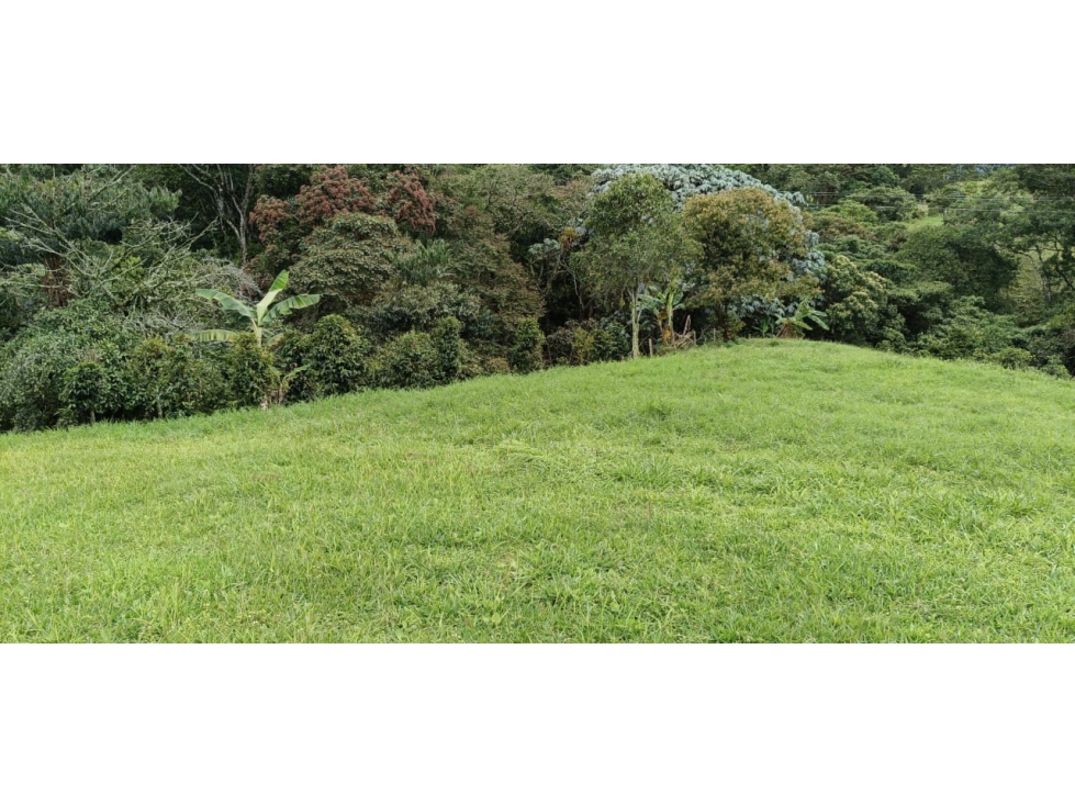 Se vende Lote Ubicado En Salento - Quindío - 6