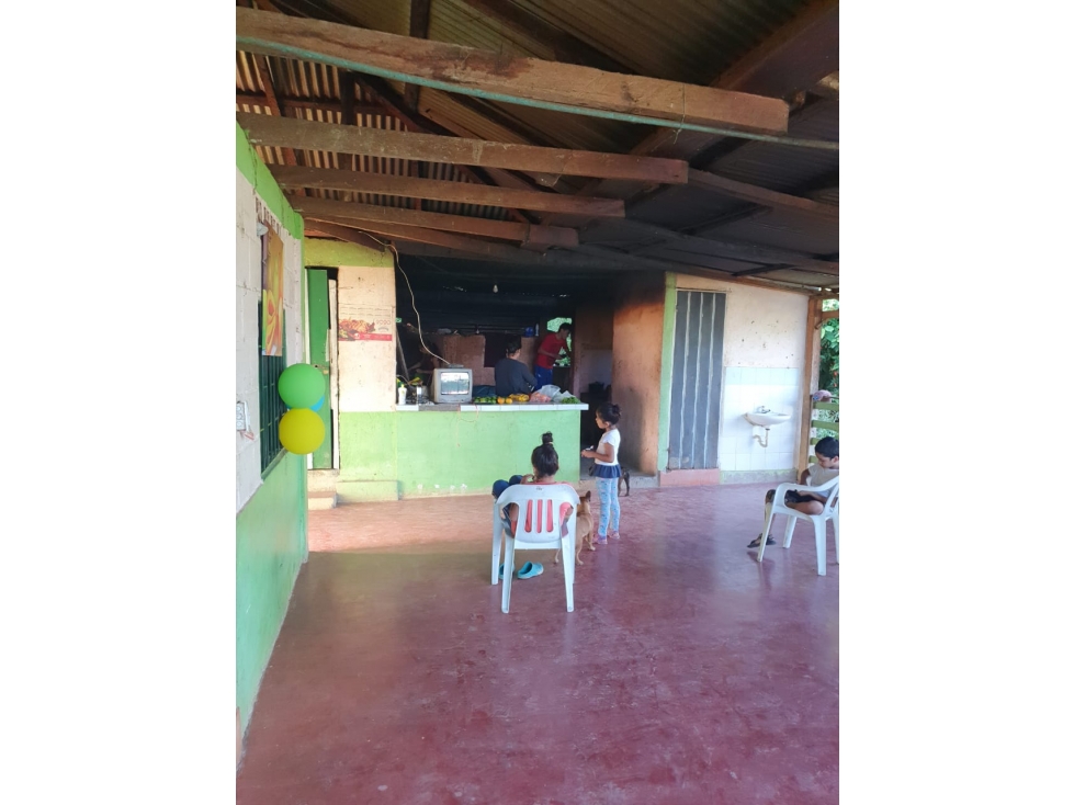 Se vende Finca en Ibagué Tolima - 4