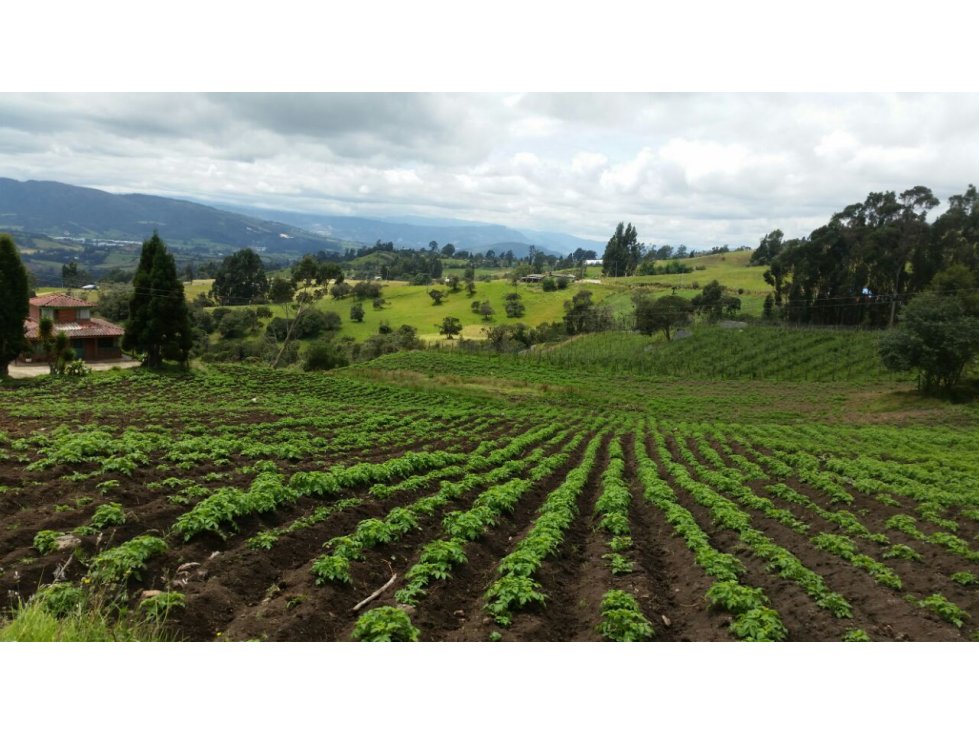 Se Vende Finca De 20 Cuadras En Cundinamarca - 2
