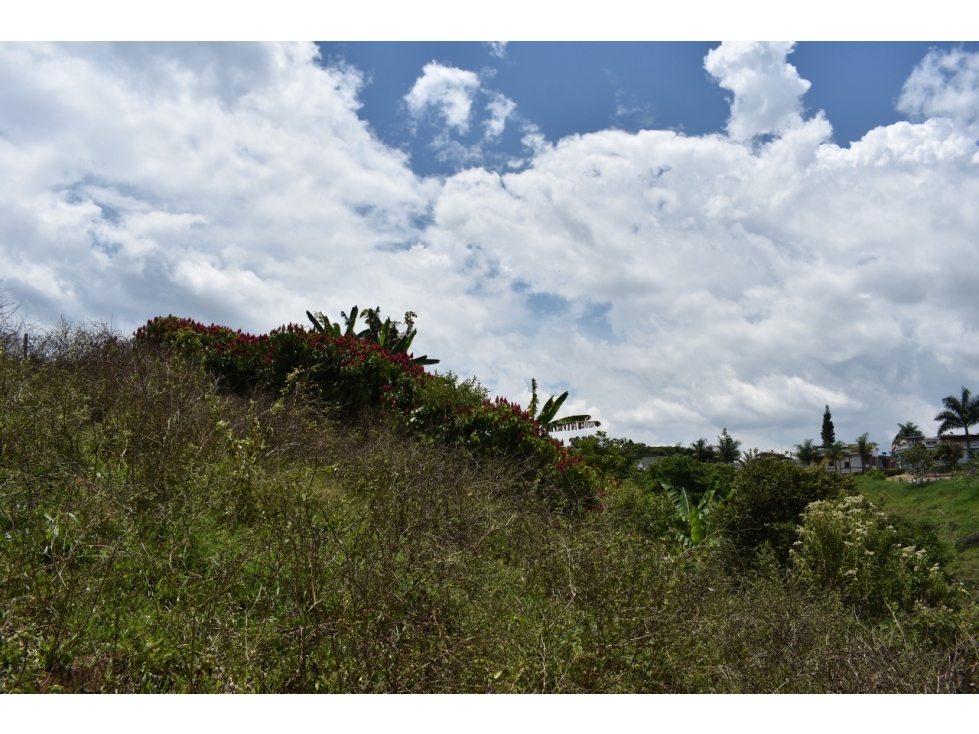 Se vende Lote en Quimbaya Quindío - 2