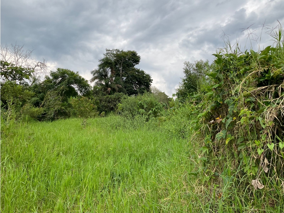 Se vende Lote en La Y de Calarcá - Armenia Quindío - 2