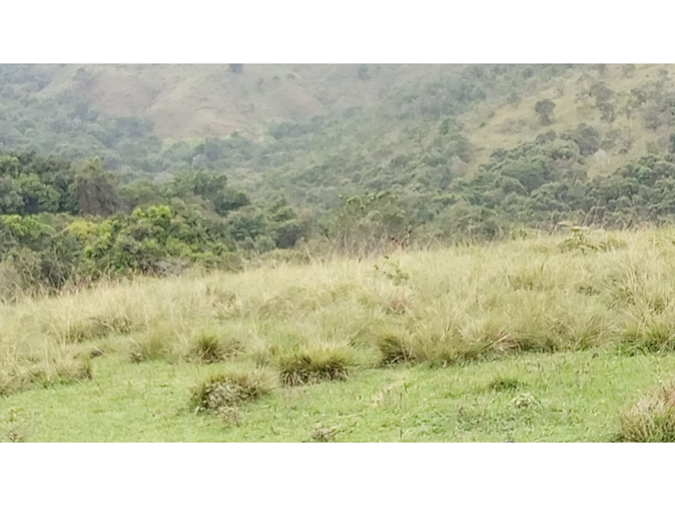Se vende Finca Trujillo - Valle del Cauca - 2