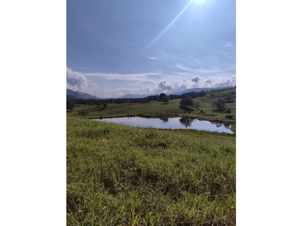 Se Vende Finca En Cerritos - Risaralda — foto 2