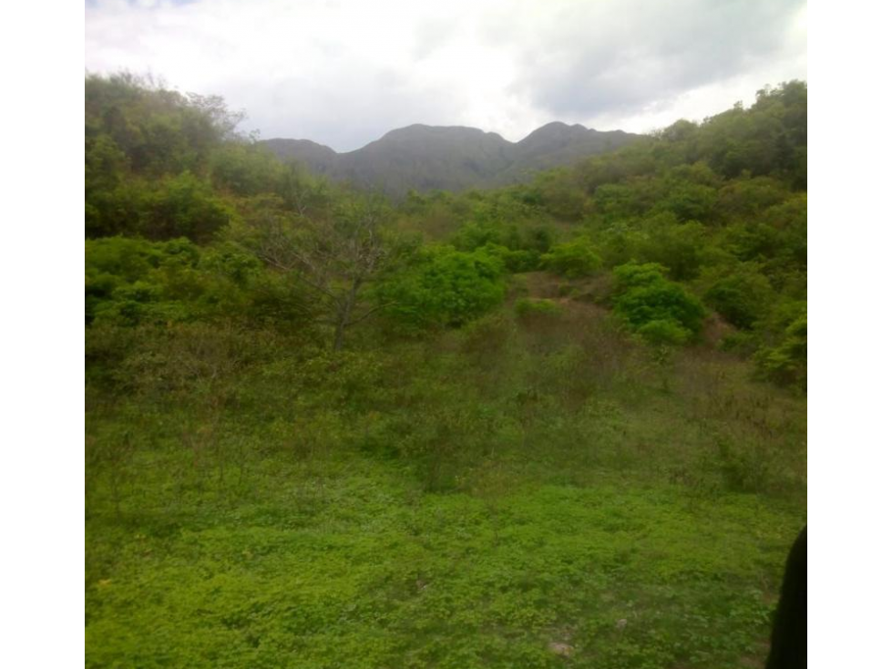 Se vende Finca Prado Tolima - 3