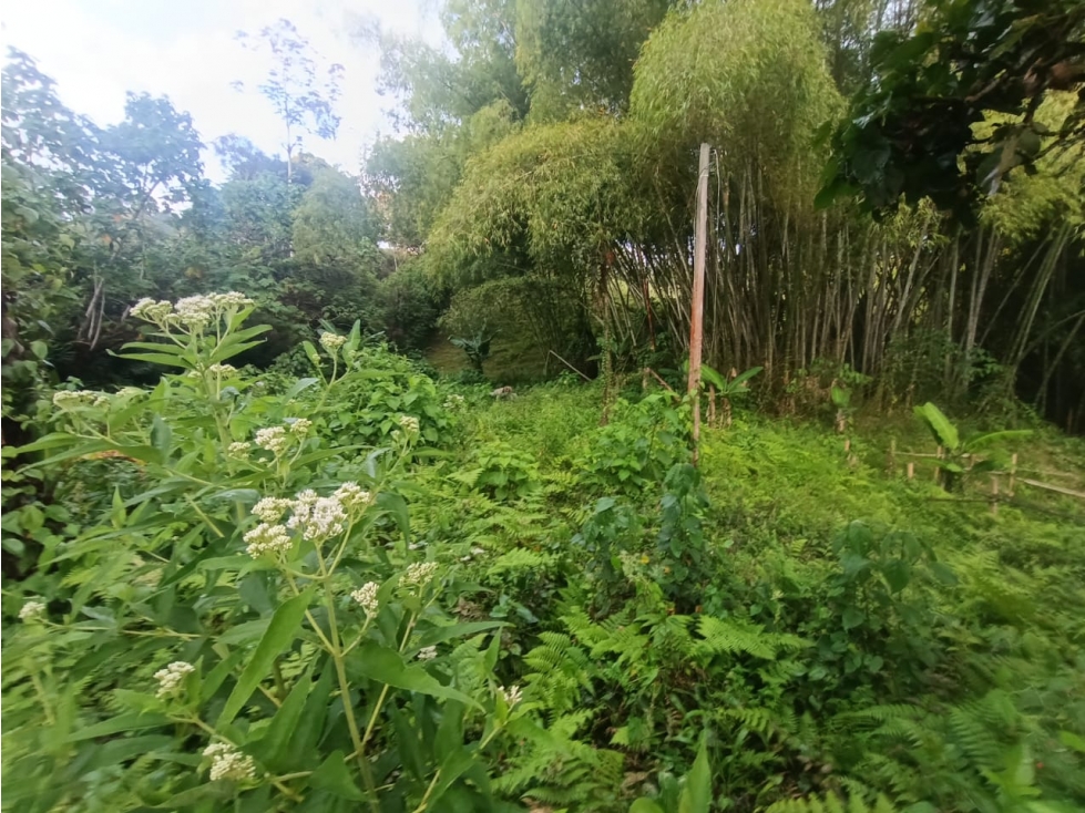 Se Vende Lote En Salento Quindío — foto 2