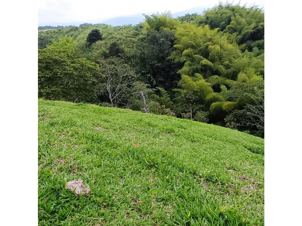 Se vende Lote S. Hojas Anchas Armenia Quindío — foto 2