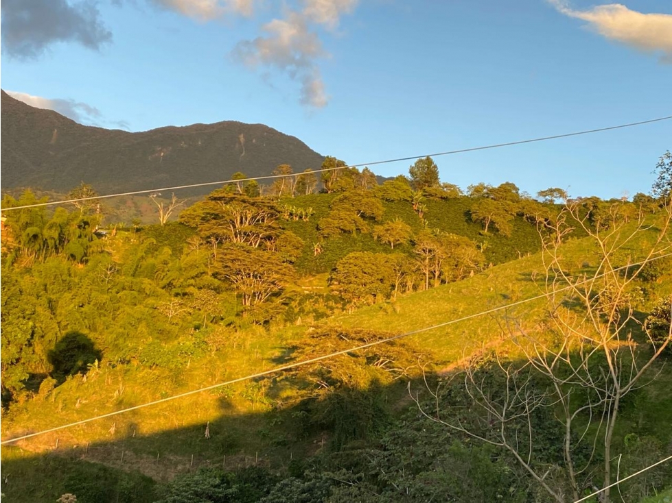 Se vende Lote Córdoba Quindío - 2