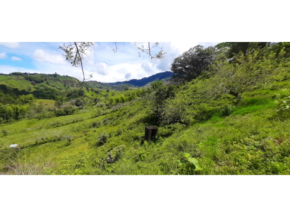 Se Vende Finca Ganadera Entre Barragan - Río Verde. — foto 2