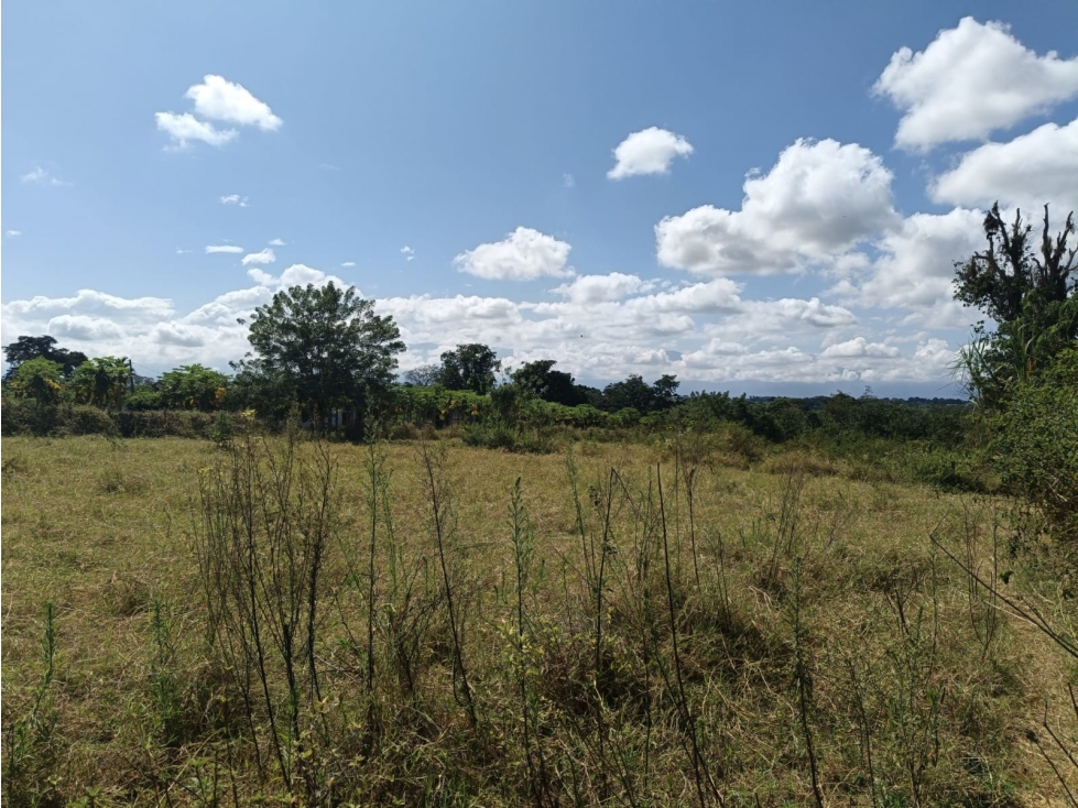 Se Vende Lote En Montenegro — foto 2