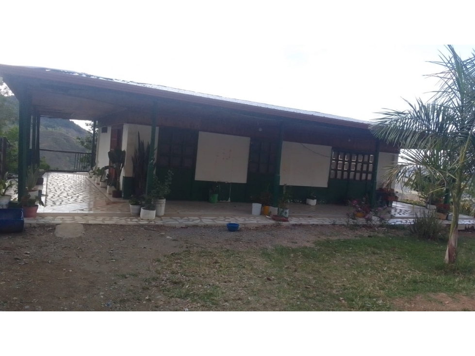 Se Vende Finca En Valle Del Cauca - 2