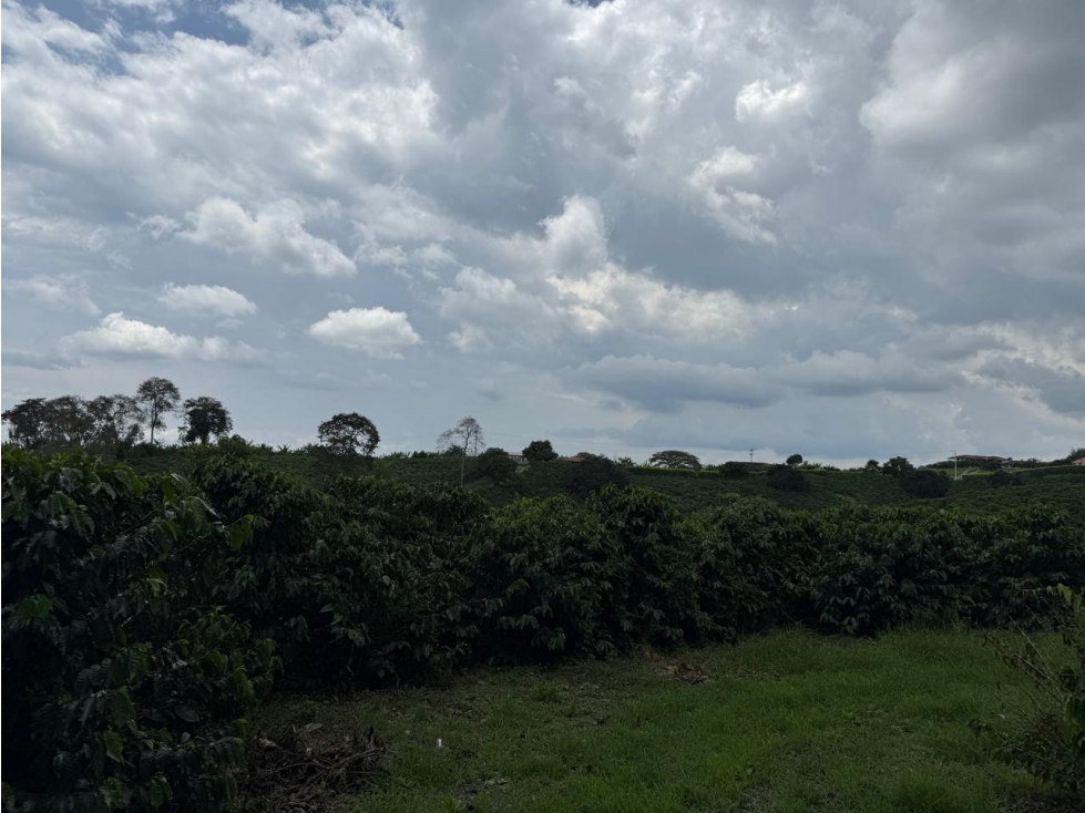 Se Vende Finca En Alcala - Valle Del Cauca - 4