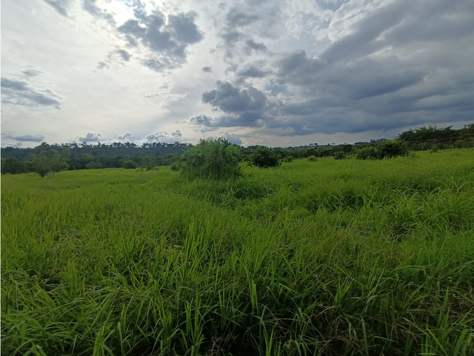 Se Vende Finca En Puerto Espejo - Armenia - Quindío.